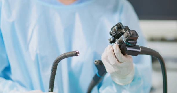 장 건강이 면역력에 미치는 과학적 영향