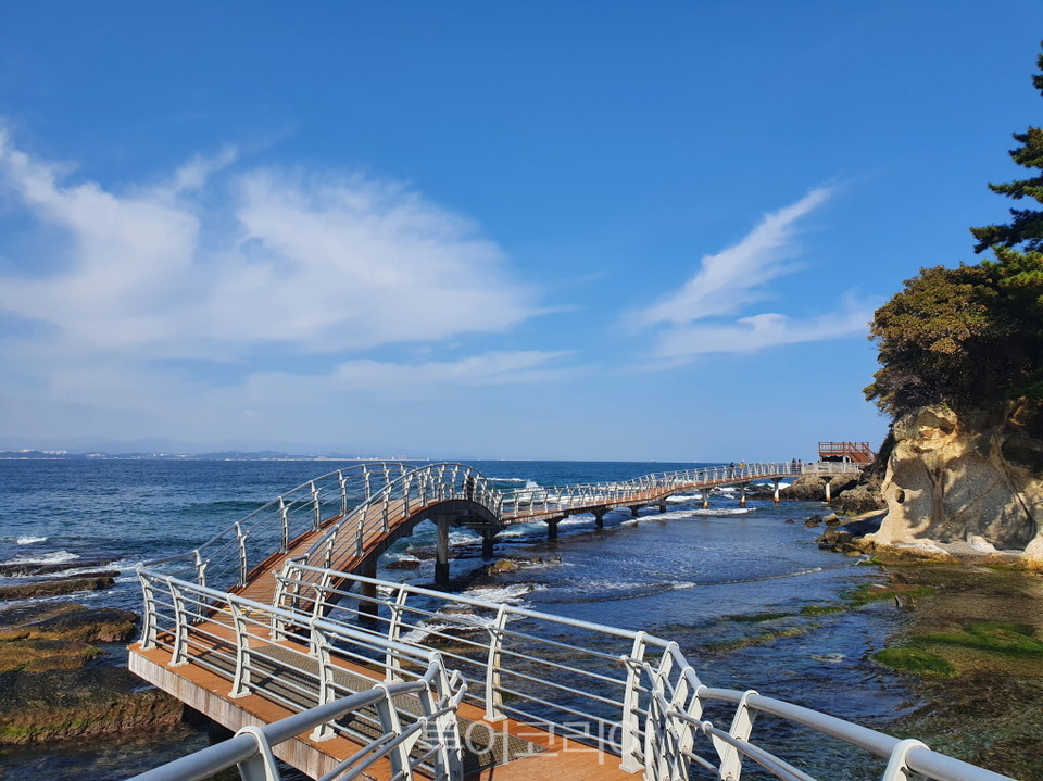 포항 가볼만한곳 - 호미반도 해안둘레길