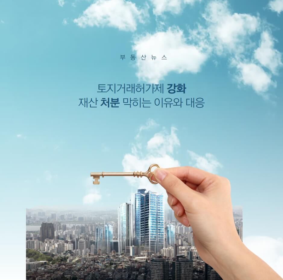 토지거래허가