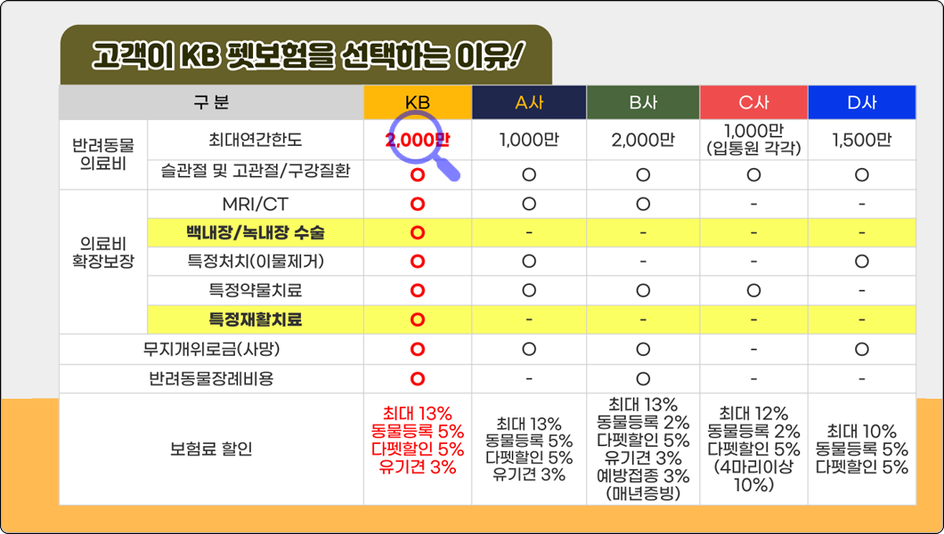 KB펫보험