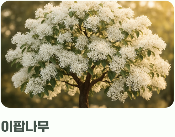 초보 텃밭러를 위한 더 나은 대안