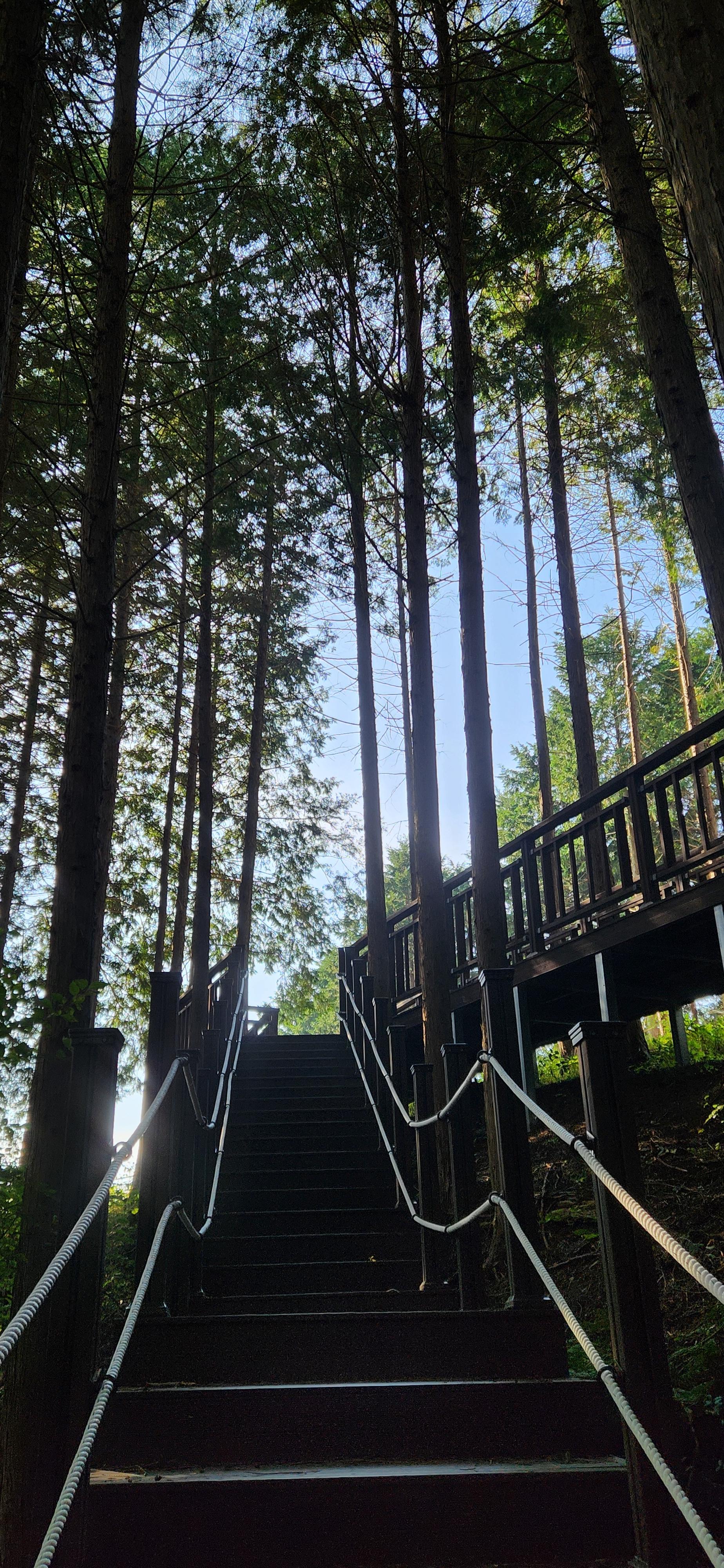 거의 다왔다. 축령산 전망대