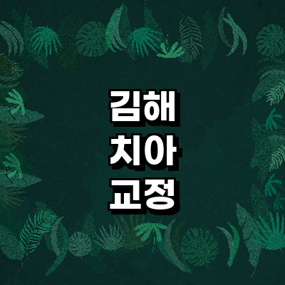 김해시 교정 치과