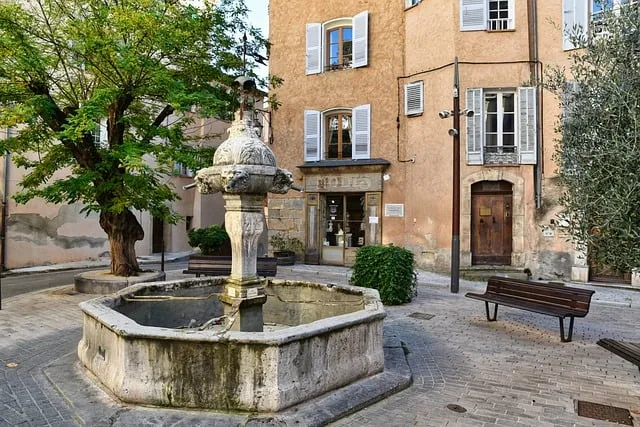 백화등 키우기 삽목방법 가지치기 꽃 노지월동까지_8