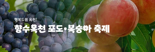 향수옥천 포도봉숭아 축제