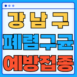 서울 강남구 폐렴구균 백신 무료 예방접종 비용지원 가격 신청방법 대상자 간격 13가 15가 20가 23가