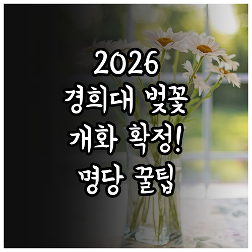 2026 경희대 벚꽃 개화 예상 날짜..