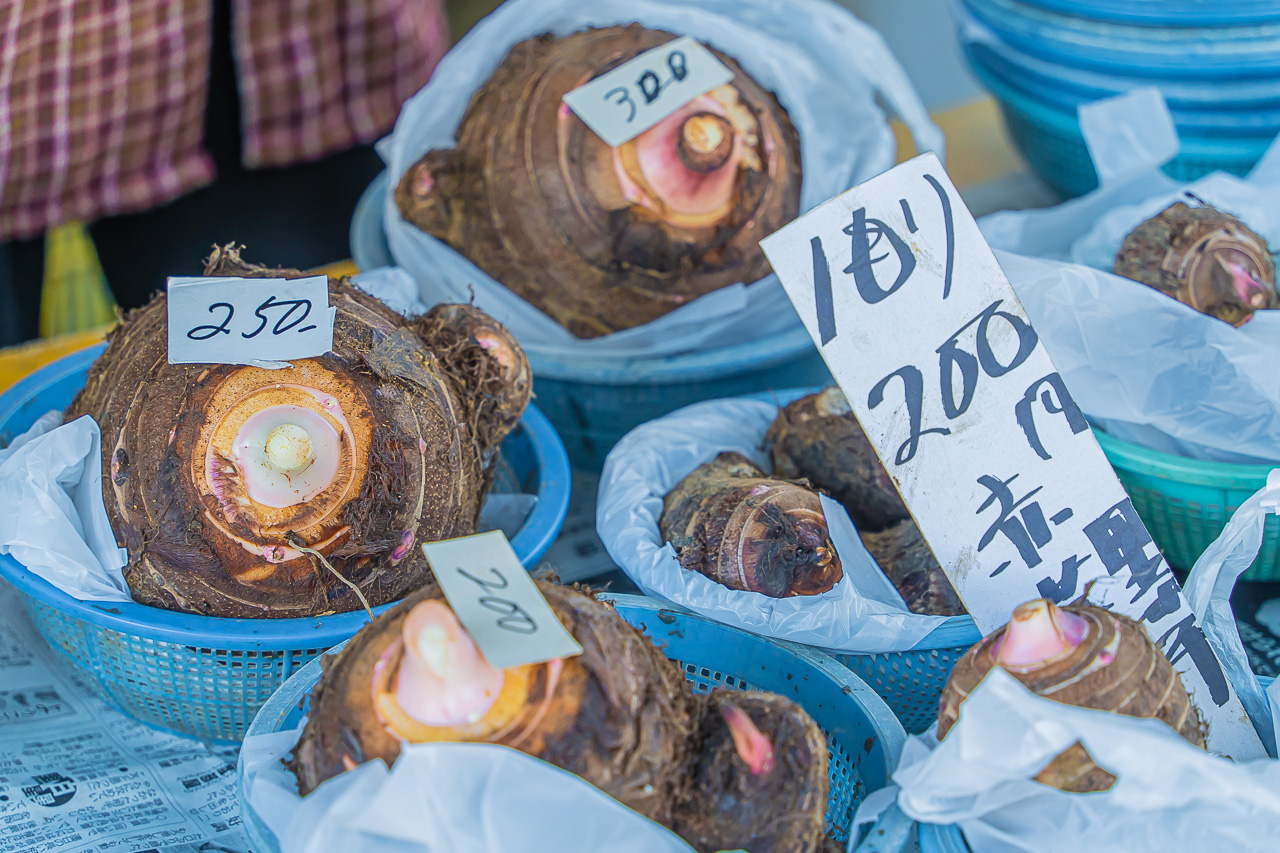 Kochi’s Sunday Market: A Walk Through a Country Market in the City — original photograph 11