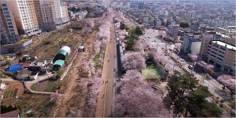 경화역1