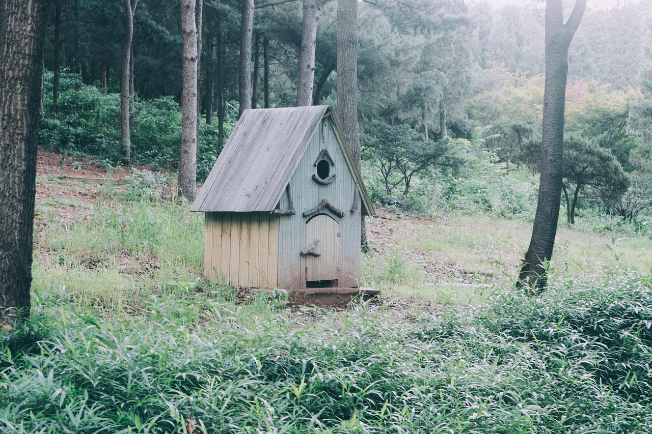 세계에서 가장 작은 집 vs 가장 큰 집