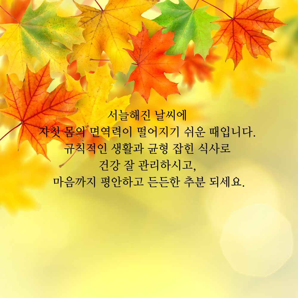 가을 인사말 추분 이미지 문구 모음집
