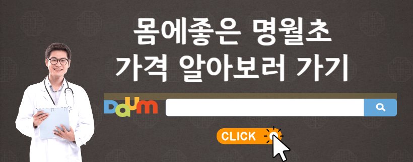 명월초