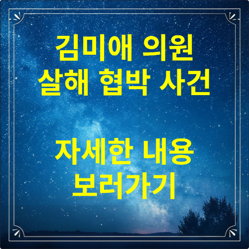 김미애 의원 살해 협박 사건