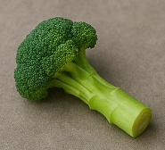 차전자피의 효능