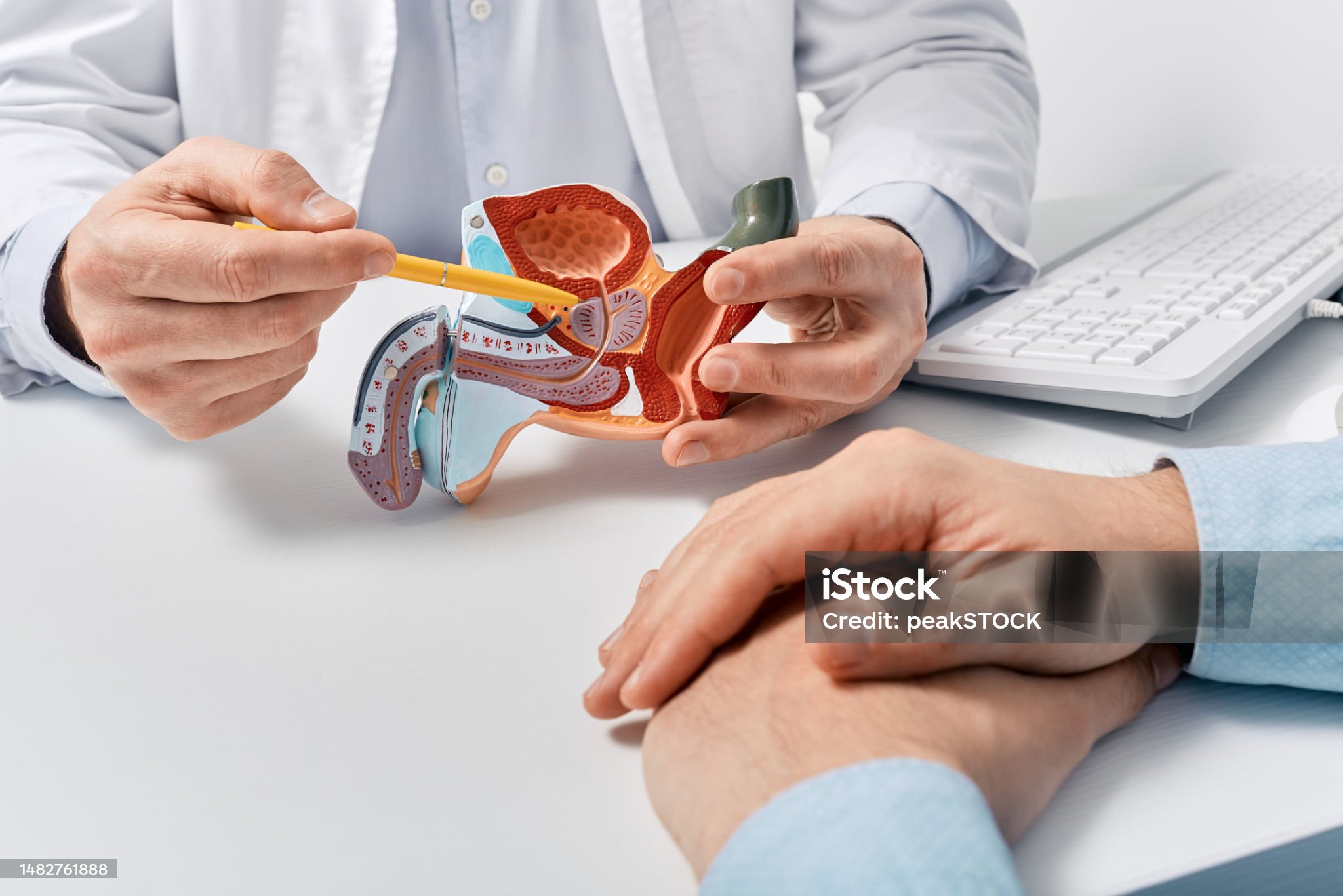 전립선암-관련-사진