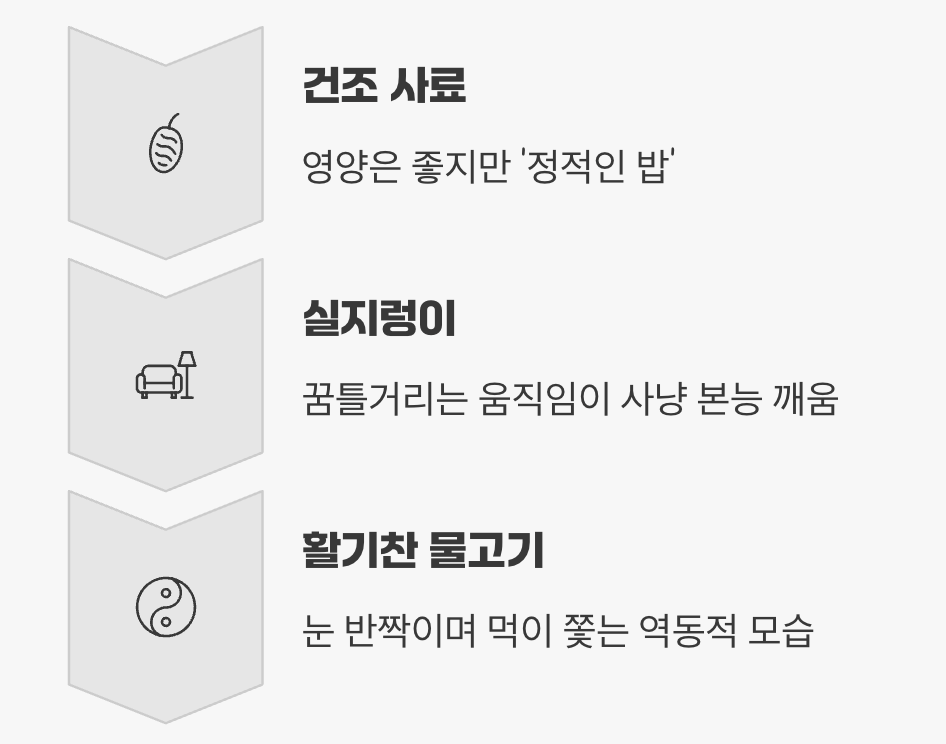 야생의 본능을 깨우는 살아있는 진수성찬