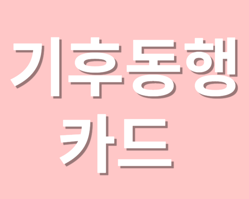 기후동행카드