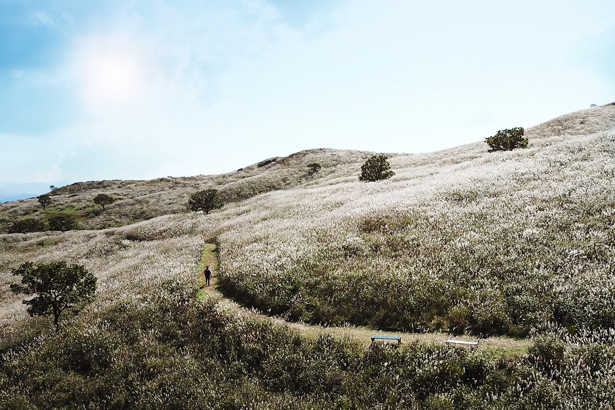 2024 황매산 억새축제