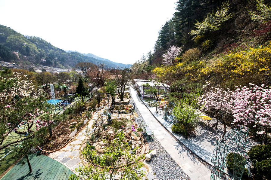 가평 타샤의정원251