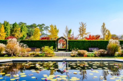 전라도 수국명소 추천 7곳, 수국이 만개한 아름다운 여름을 걷다