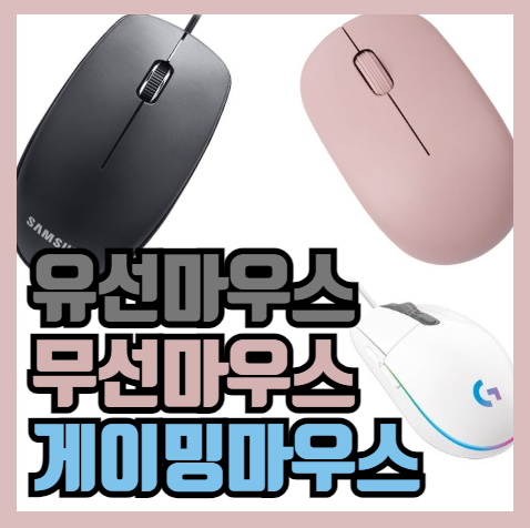 마우스