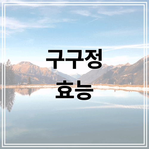 구구정 효능