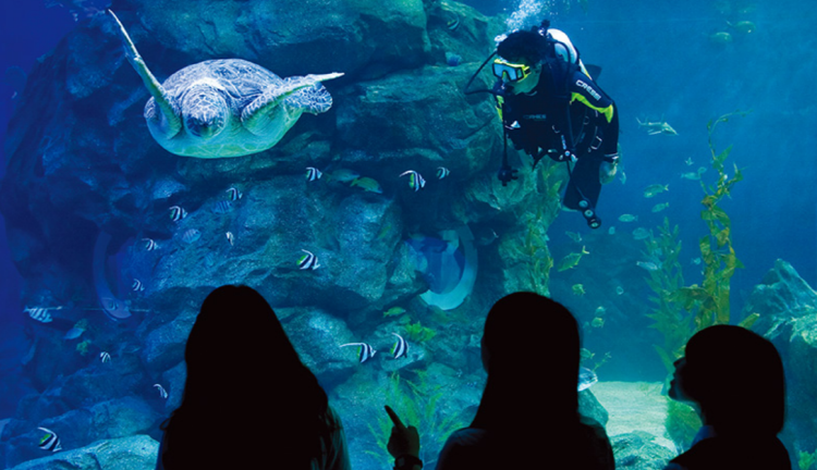 울진 아쿠아리움