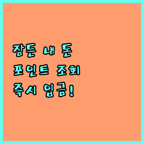 카드사 포인트 통합 조회 및 본인 계..