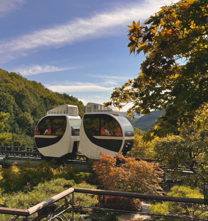 디지털 온누리, 10% 할인 구매 완벽 가이드