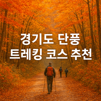 경기도 단풍 트레킹 코스 추천 : 초보자부터 마니아까지 즐기는 가을 하이킹 명소 7선
