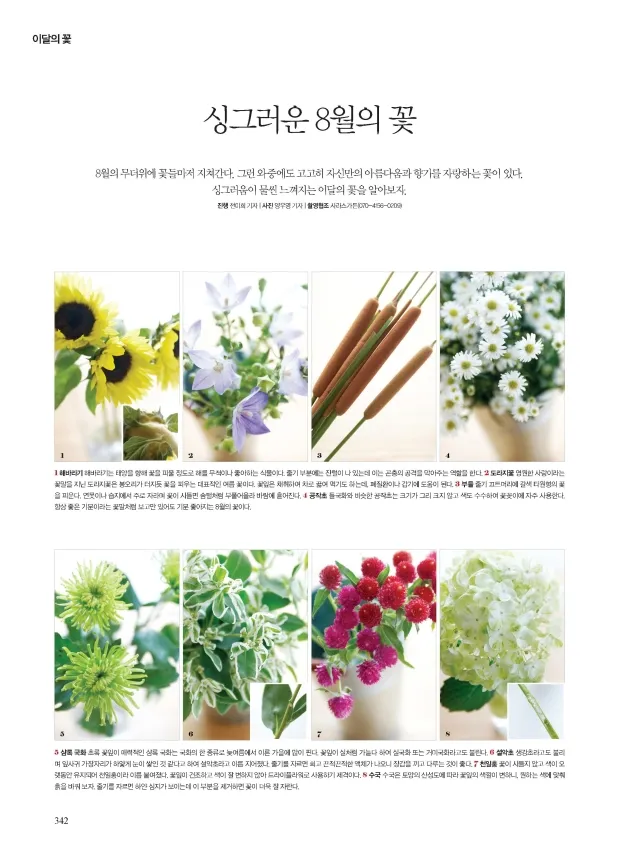 8월에 피는 꽃 이름 종류별 특징 정리 보기_5