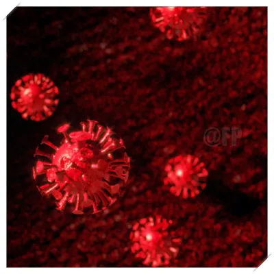 코로나 예방접종 무료대상 독감 동시접종 기간 날짜2