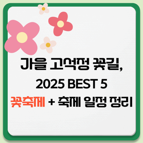 2025 가을 꽃축제 BEST 5 ❘ 인생샷 명소 총정리