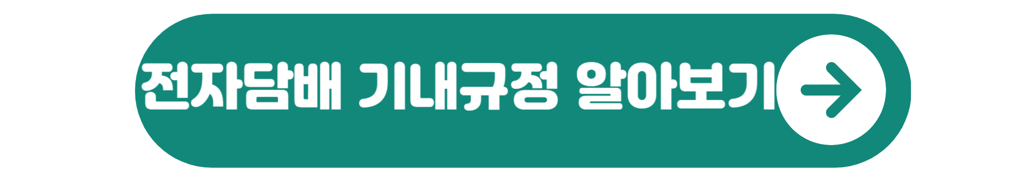 전자담배 기내반입