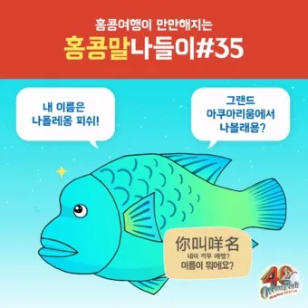홍콩 저녁 인사말 모음 예시 인사예절_23