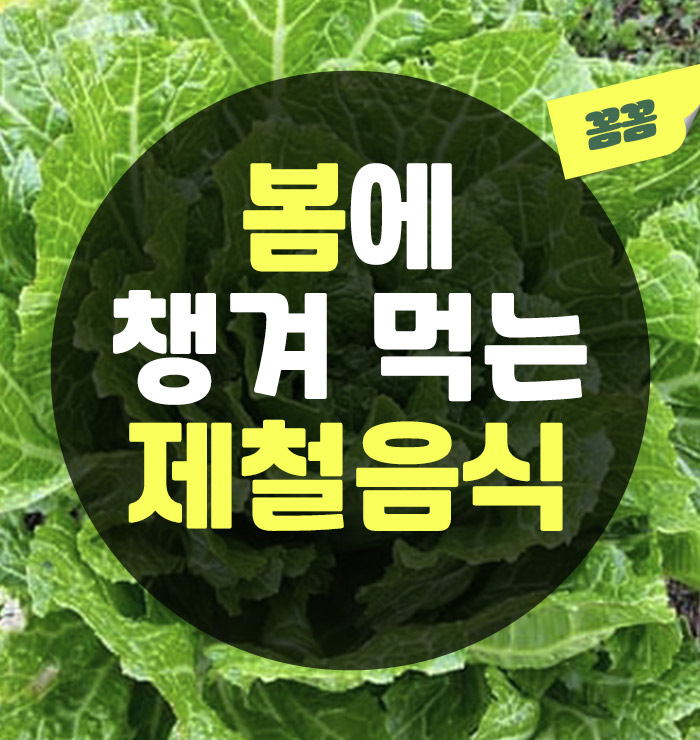 봄제철음식
