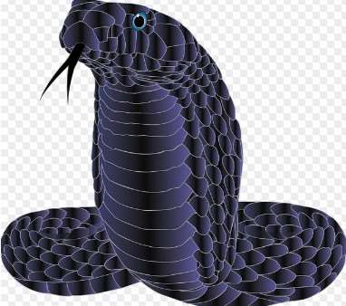 2026년 병오년 뱀띠 운세 총정리|무료 신년운세 보는 방법