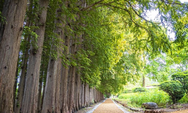 익산 아가페 정원
