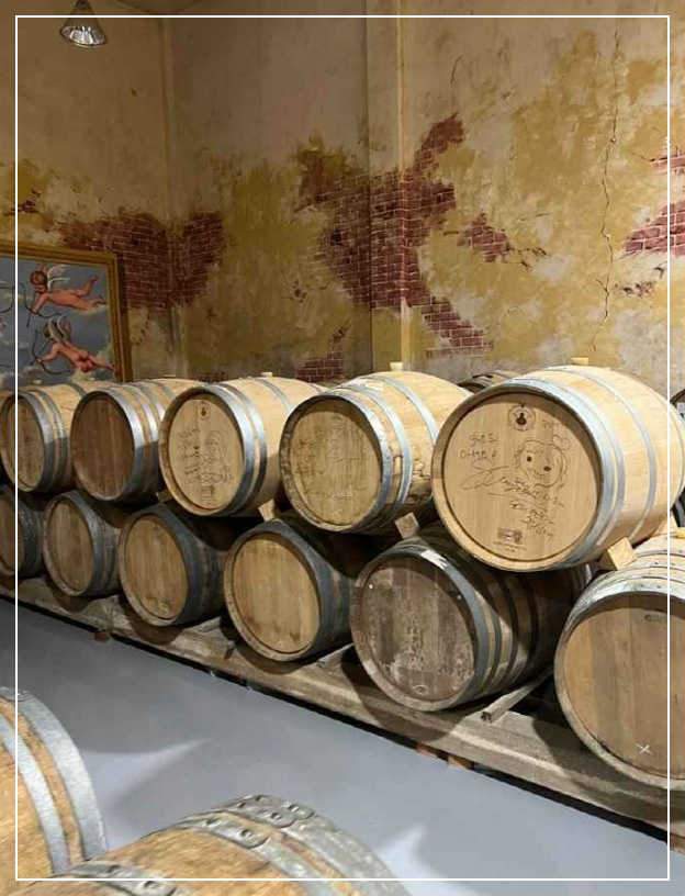 예산 가볼만한곳 베스트10 예산사과와인 와이너리 (체험&middot;판매 겸)