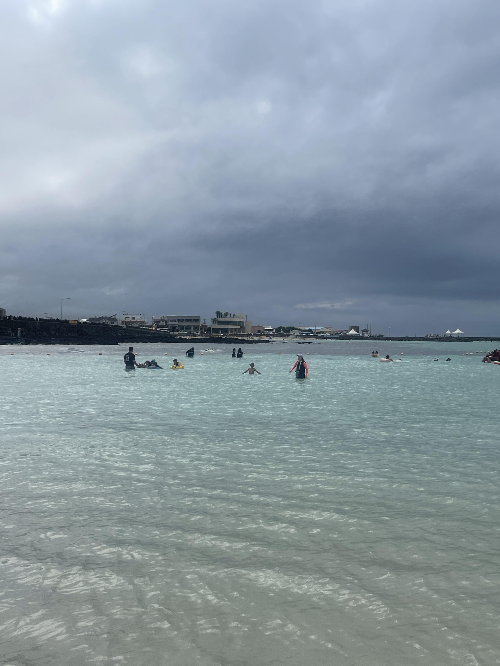 7월-제주도여행-뚜벅이로-다니고-렌트도-하며-알차게-보낸-3박4일-여행코스