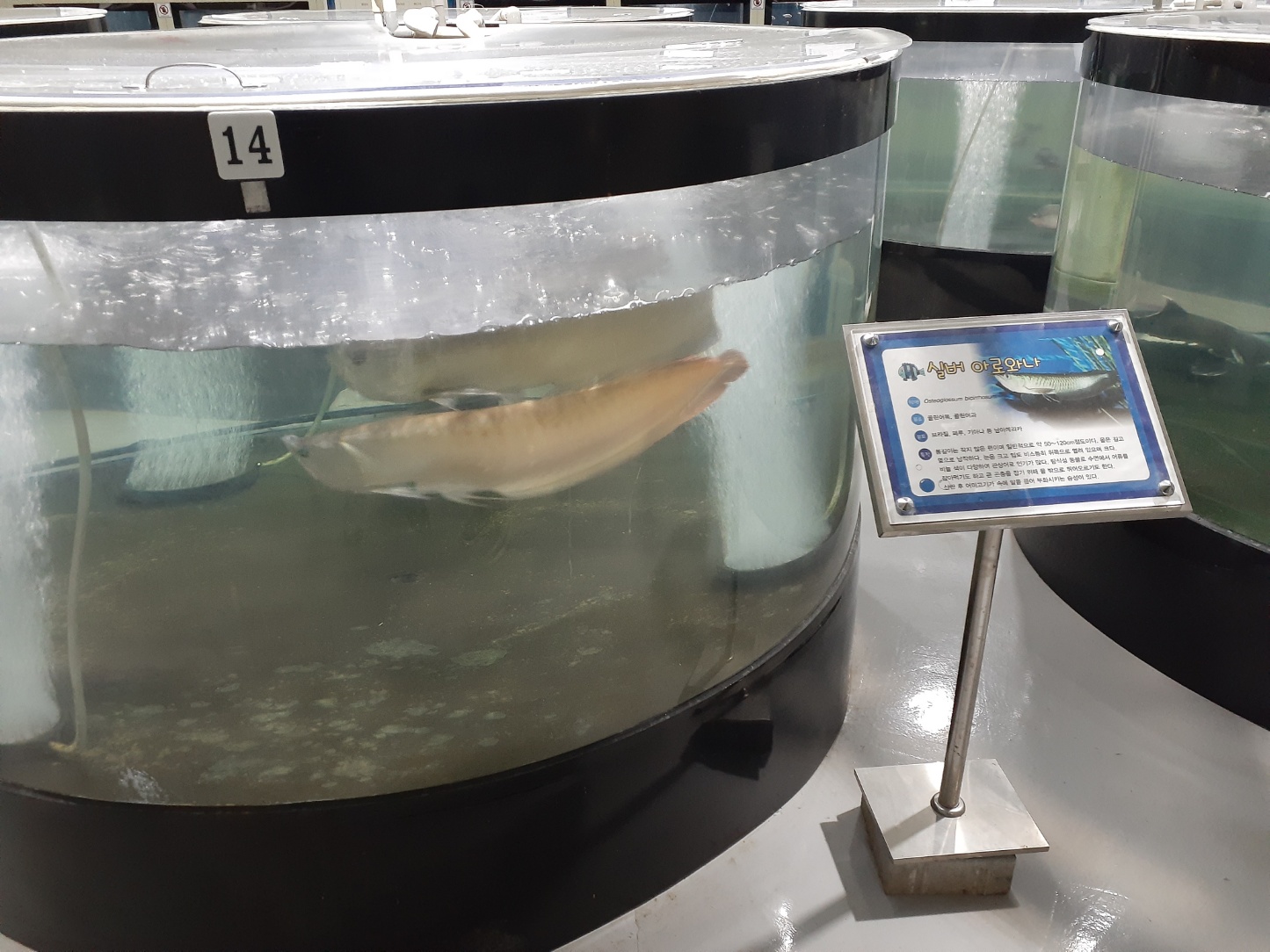 민물고기전시관열대어전시관