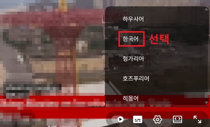 자막 선택창에 한국어 보임