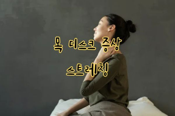 목 디스크 증상 스트레칭