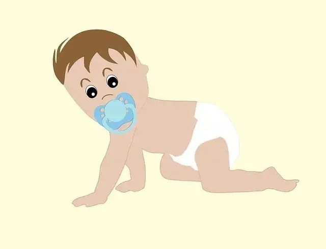 베이비시터 자격증