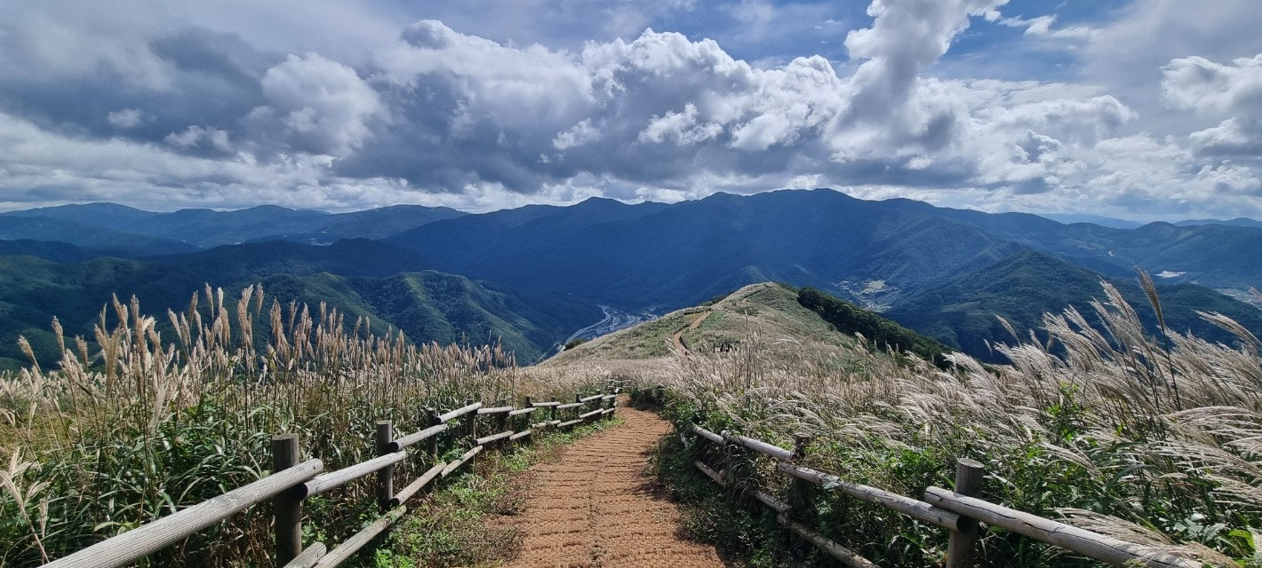 민둥산억새꽃축제