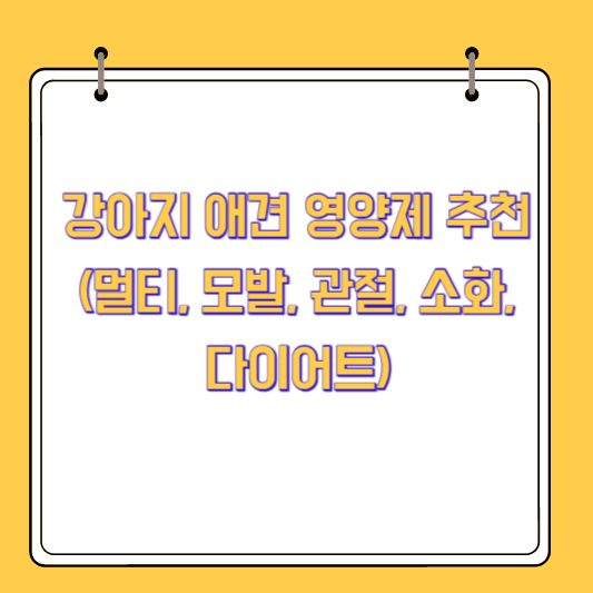 강아지 애견 영양제 추천(멀티, 모발, 관절, 소화, 다이어트)