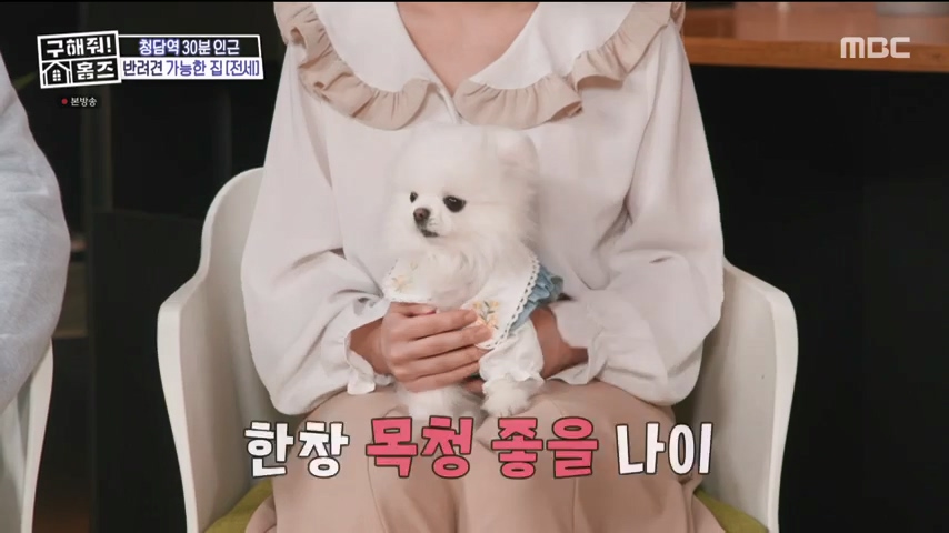 구해줘홈즈 하남 인프라 왕간다 동물병원 인접 하남시 망월동 전세 매매 매물 가격 및 구조 인테리어 리모델링 최종선택 강재준 양세찬 소개