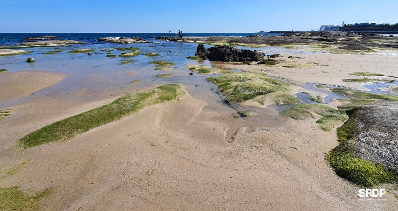 아야진-해변-해수욕장-스위밍터틀-강원도-고성-오션뷰-카페