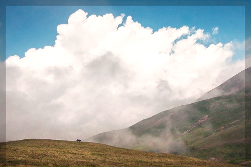 주일 대표 기도문 2월 셋째 주