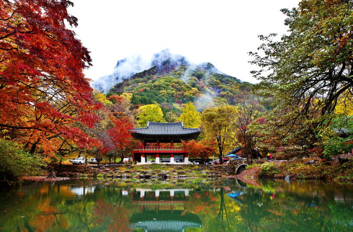 장성) 백양사 단풍시즌 꿀팁정리(촬영포인트, 교통, 일정표)